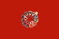 无锡市梁溪区回收红酒